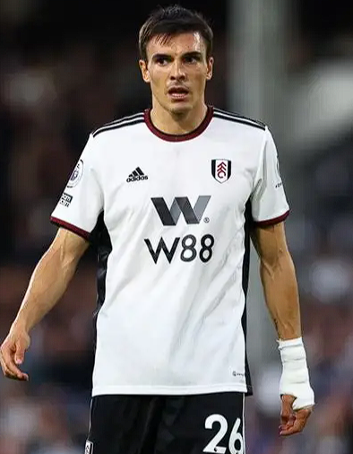 理查兹评<a href='/news/tag/1121114' style='color: blue;'>帕利尼亚</a>冲突：激情与个性的彰显